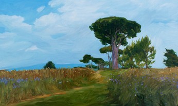 Lia Aminov Pine trees, 30x50 cm, 2019.jpg